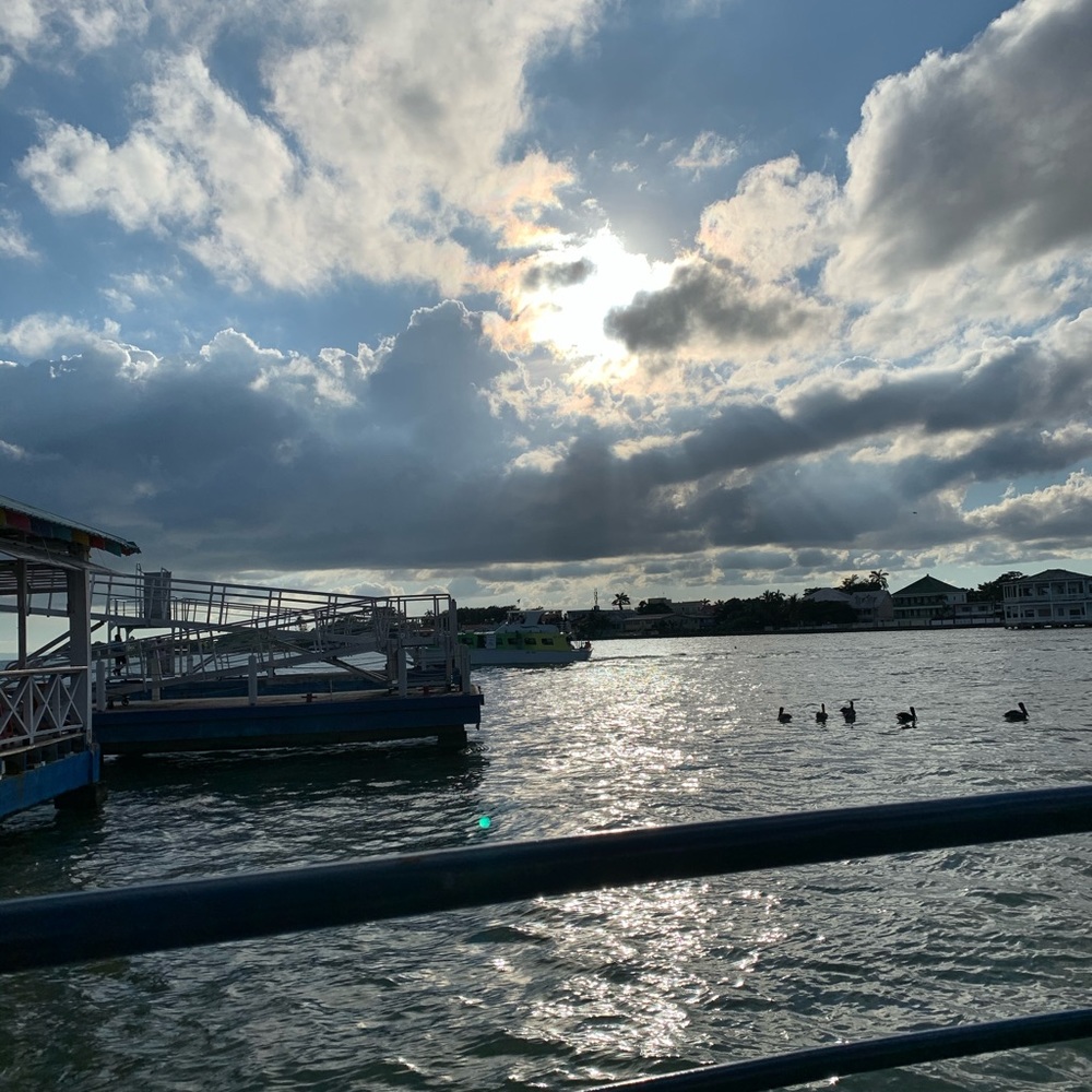 Meet your Posher, Layla